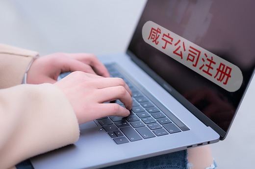 咸寧公司注冊圖