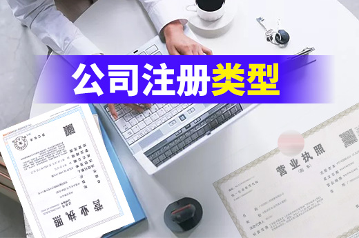 公司注冊類型