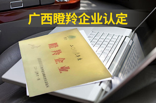 利好消息！2020廣西瞪羚企業(yè)認(rèn)定申報(bào)工作開始了！|咕咕狗知識(shí)產(chǎn)權(quán)