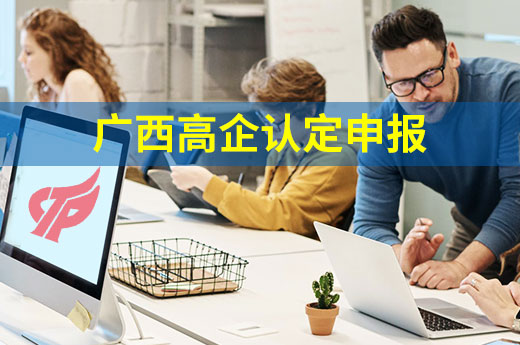 數(shù)據(jù)分析：2021年廣西哪些行業(yè)容易進(jìn)行高企認(rèn)定申報(bào)|咕咕狗知識(shí)產(chǎn)權(quán)