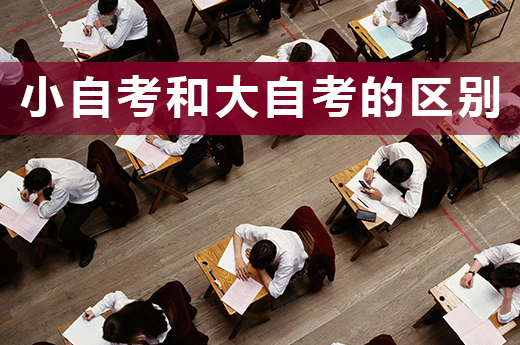 深度好文，成人教育中的小自考和大自考有什么區別|咕咕狗知識產權