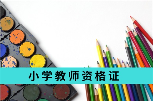咕咕狗|小學教師資格證考試難度增大，想一次通過建議報考培訓班 