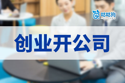 創業開公司，哪種主體類型比較適合新手？