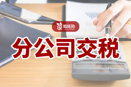 財稅干貨分享：分公司怎樣交稅？和子公司有什么區別？-咕咕狗