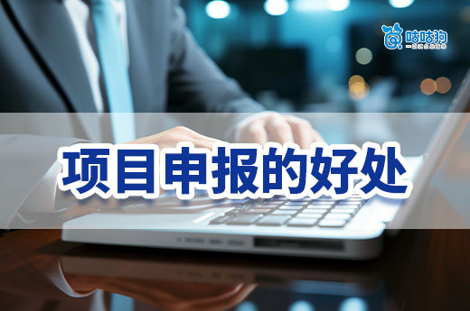 淺談公司進行政府項目申報的好處，老板們一起來了解吧！-咕咕狗