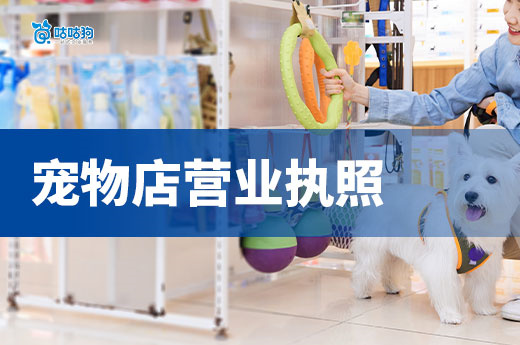 創業開寵物店賺錢嗎？寵物店營業執照+許可證辦理流程